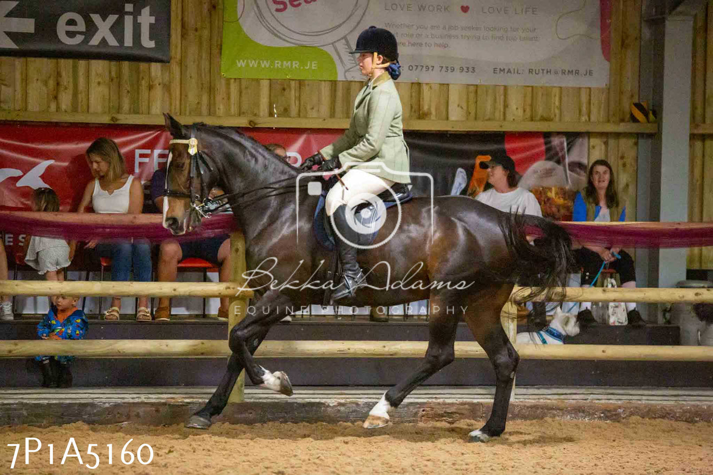 JHOYS 2023 - 10th September - Ridden Showing Pt1