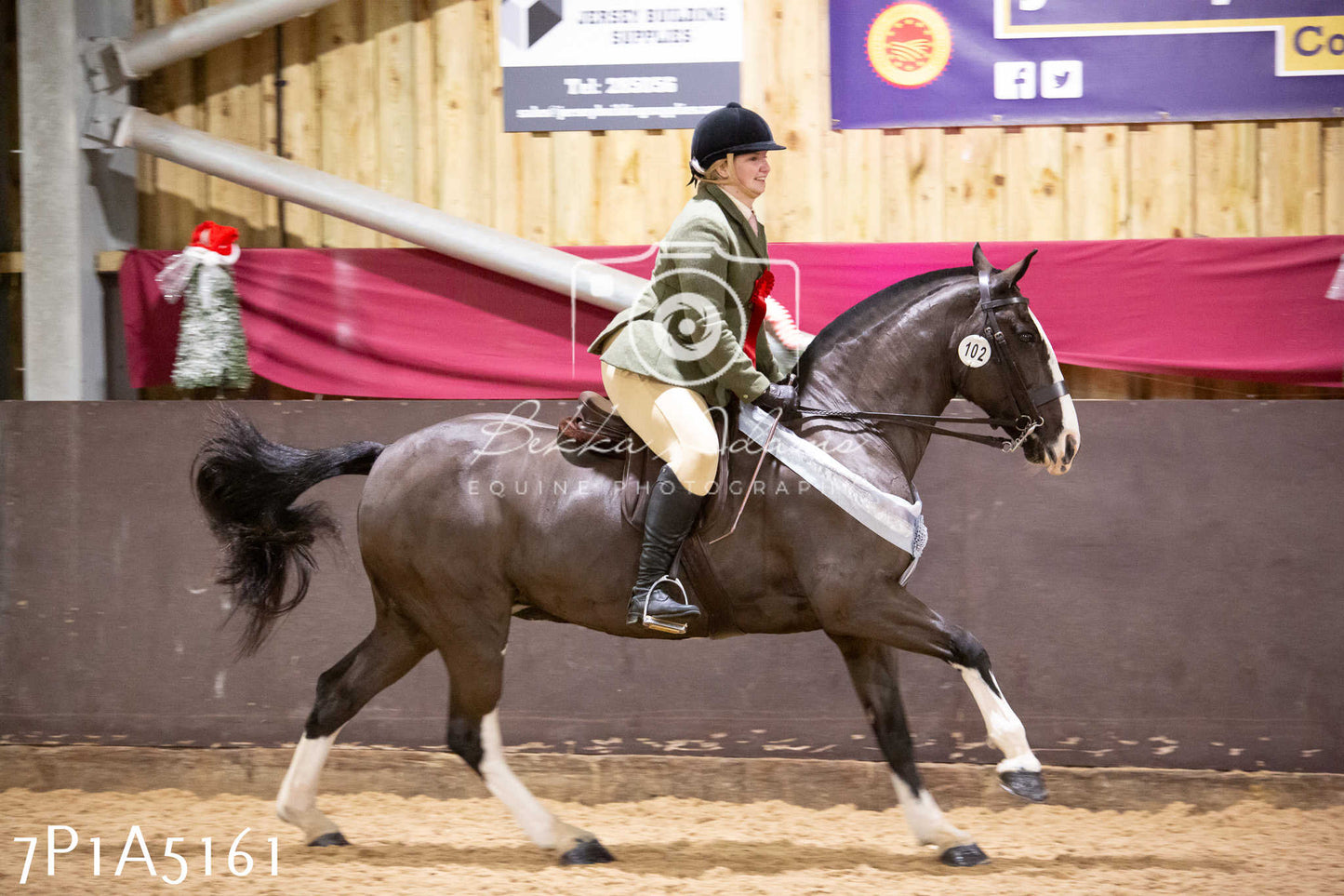 Home Farm Christmas Show 2024 - Ridden