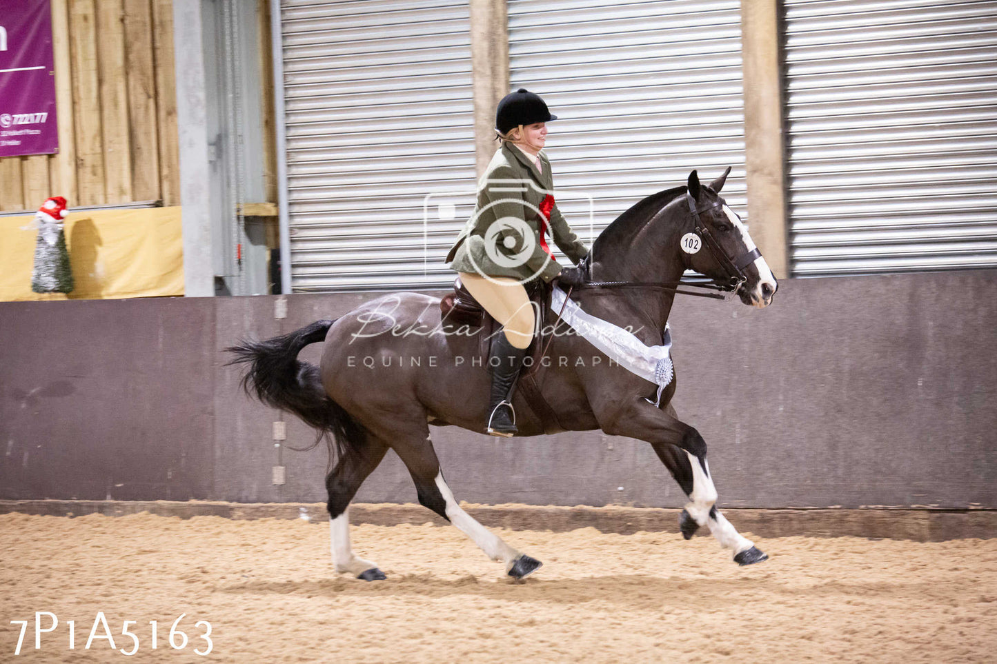 Home Farm Christmas Show 2024 - Ridden