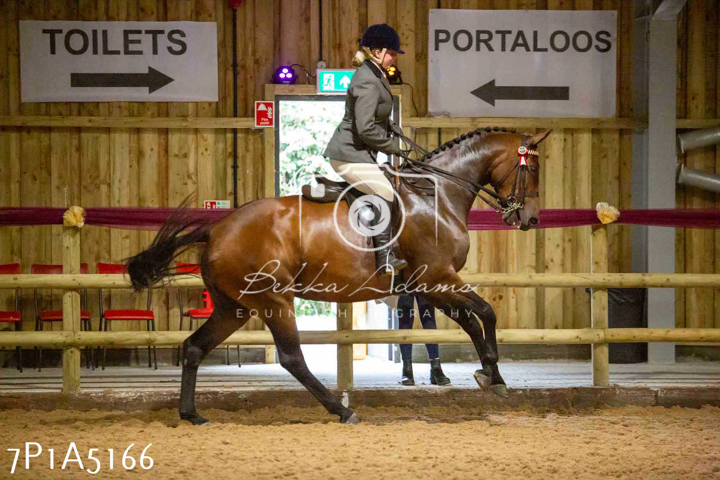 JHOYS 2023 - 10th September - Ridden Showing Pt1