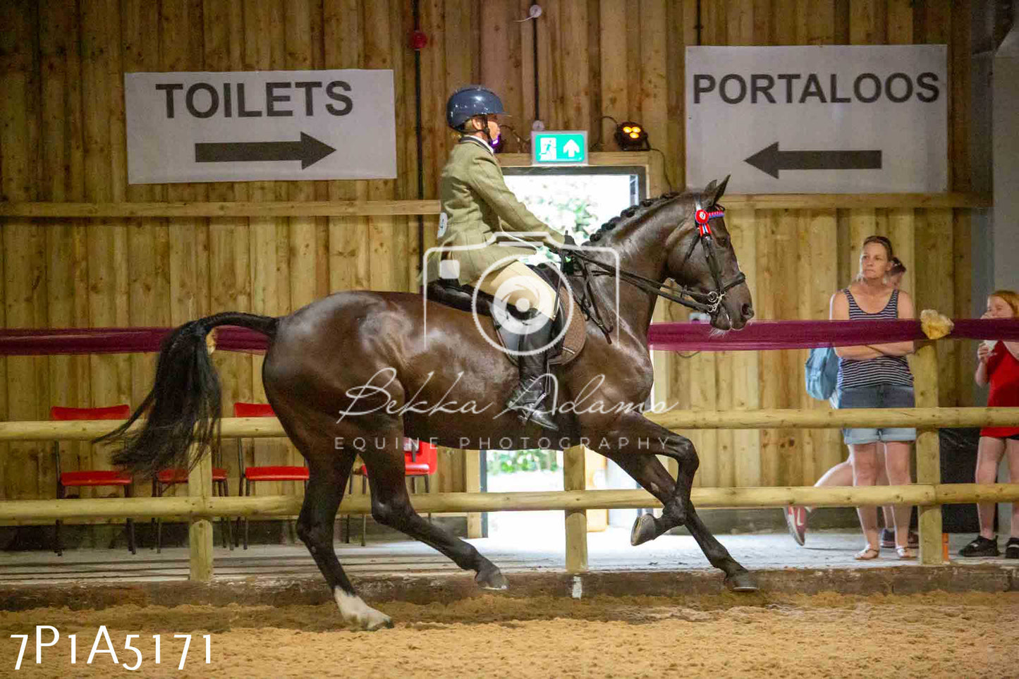 JHOYS 2023 - 10th September - Ridden Showing Pt1