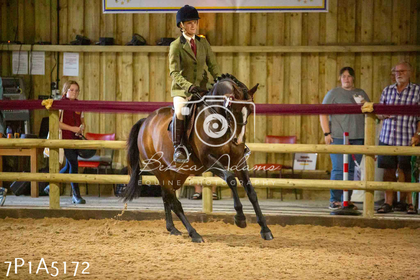 JHOYS 2023 - 10th September - Ridden Showing Pt1