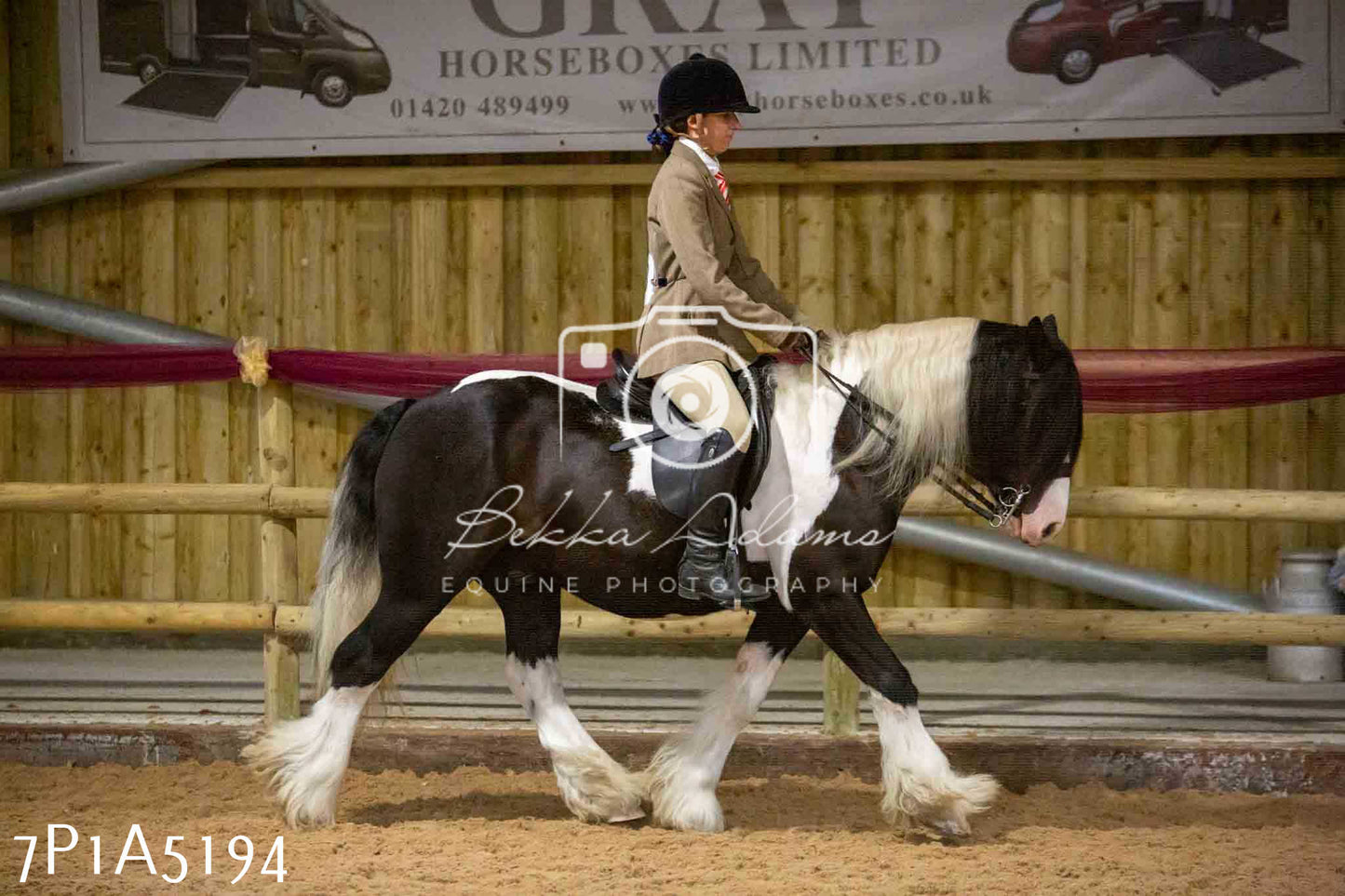 JHOYS 2023 - 10th September - Ridden Showing Pt1