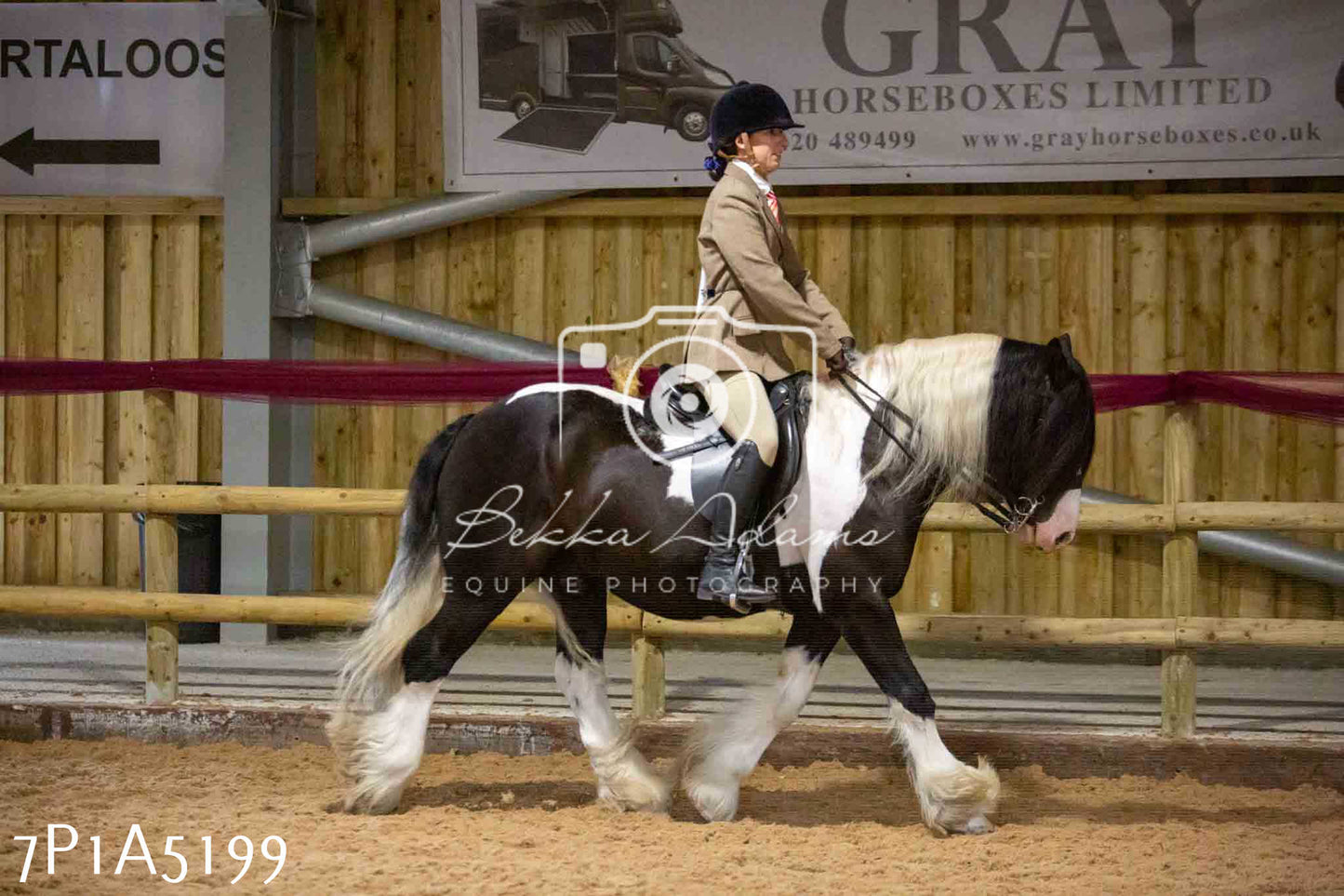 JHOYS 2023 - 10th September - Ridden Showing Pt1