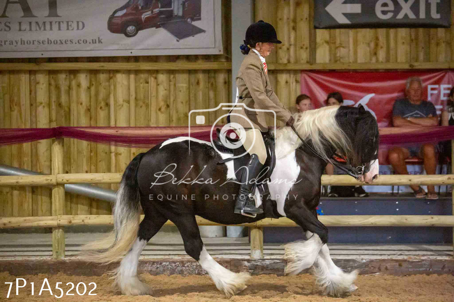 JHOYS 2023 - 10th September - Ridden Showing Pt1