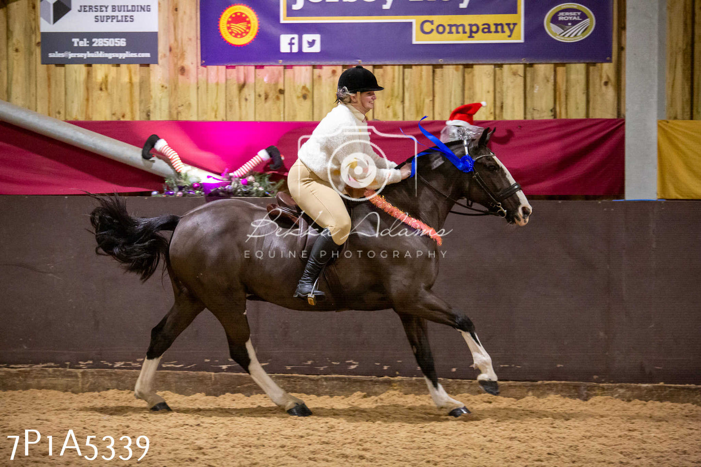 Home Farm Christmas Show 2024 - Ridden (Fun Classes)