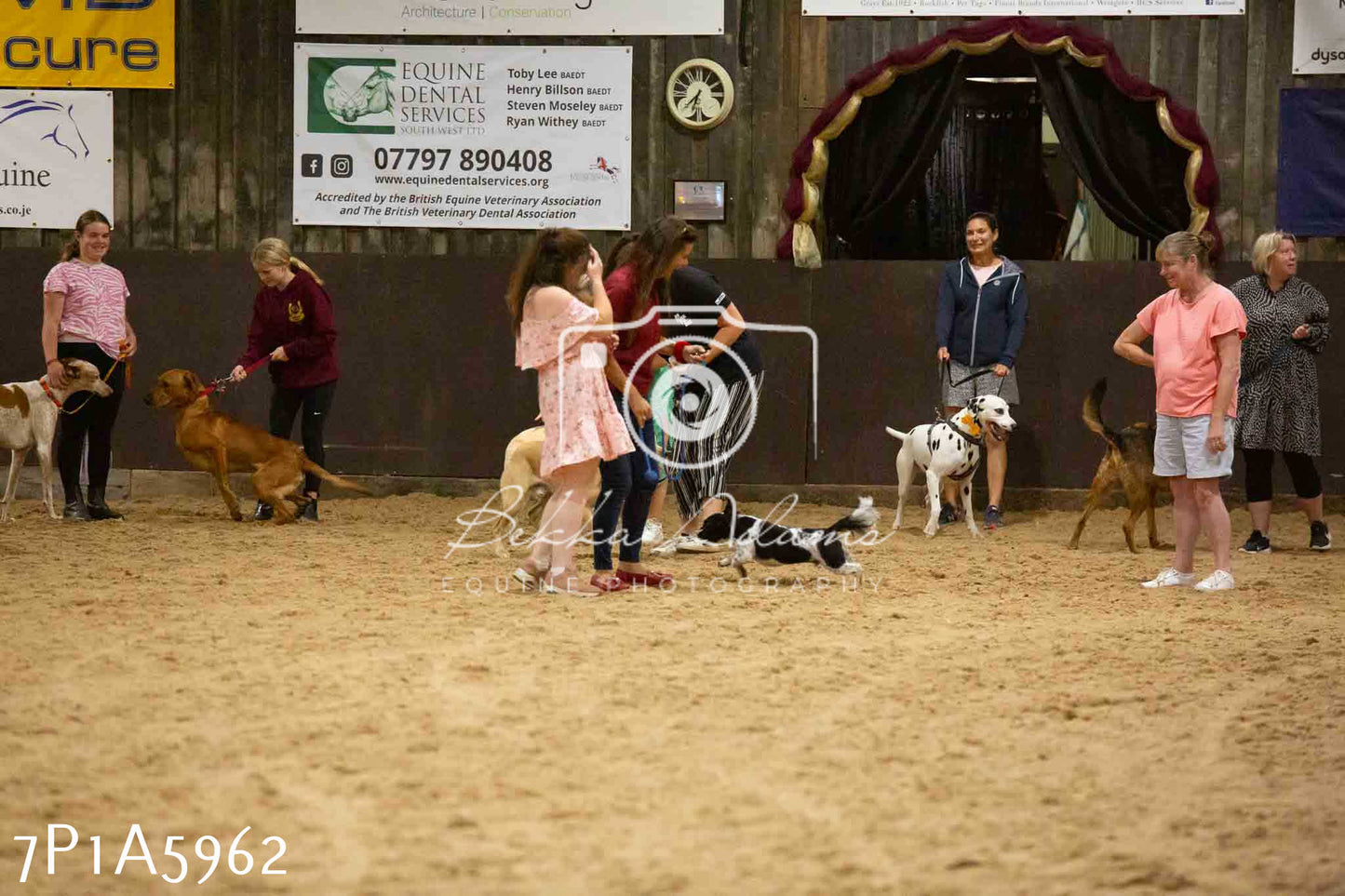 JHOYS 2023 - 11th September - Best Lorry Dog