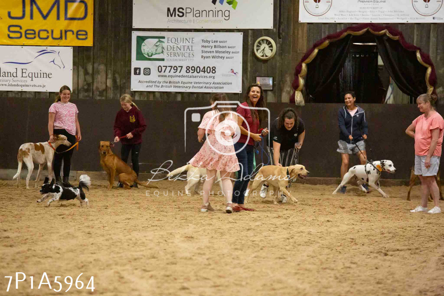 JHOYS 2023 - 11th September - Best Lorry Dog