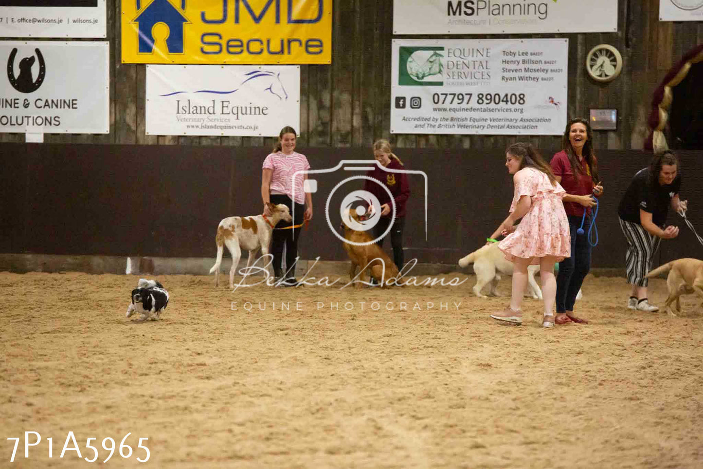 JHOYS 2023 - 11th September - Best Lorry Dog
