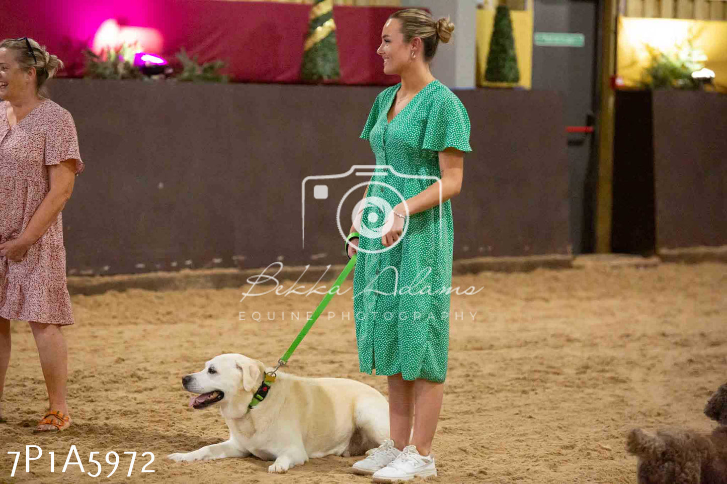 JHOYS 2023 - 11th September - Best Lorry Dog