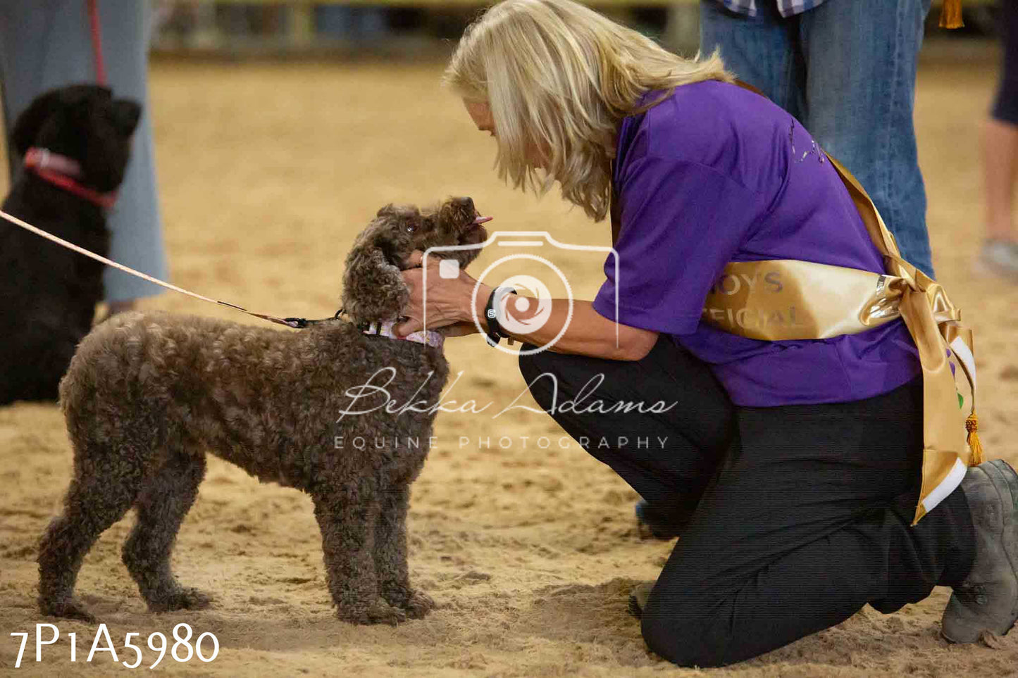 JHOYS 2023 - 11th September - Best Lorry Dog
