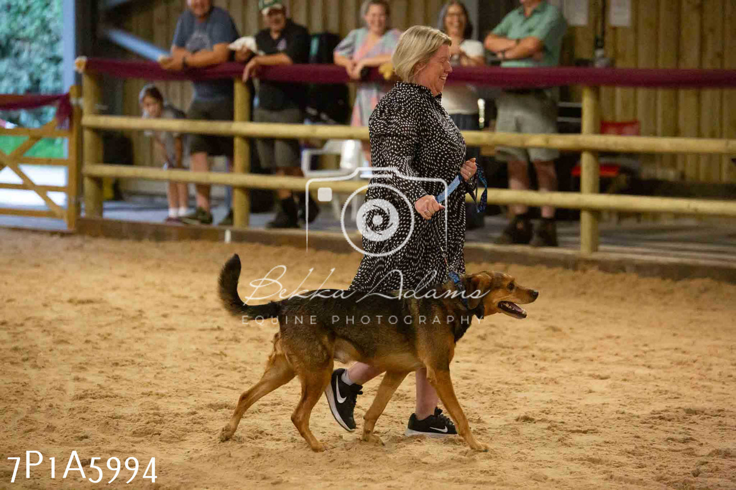 JHOYS 2023 - 11th September - Best Lorry Dog
