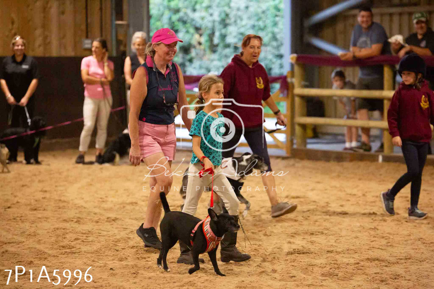 JHOYS 2023 - 11th September - Best Lorry Dog