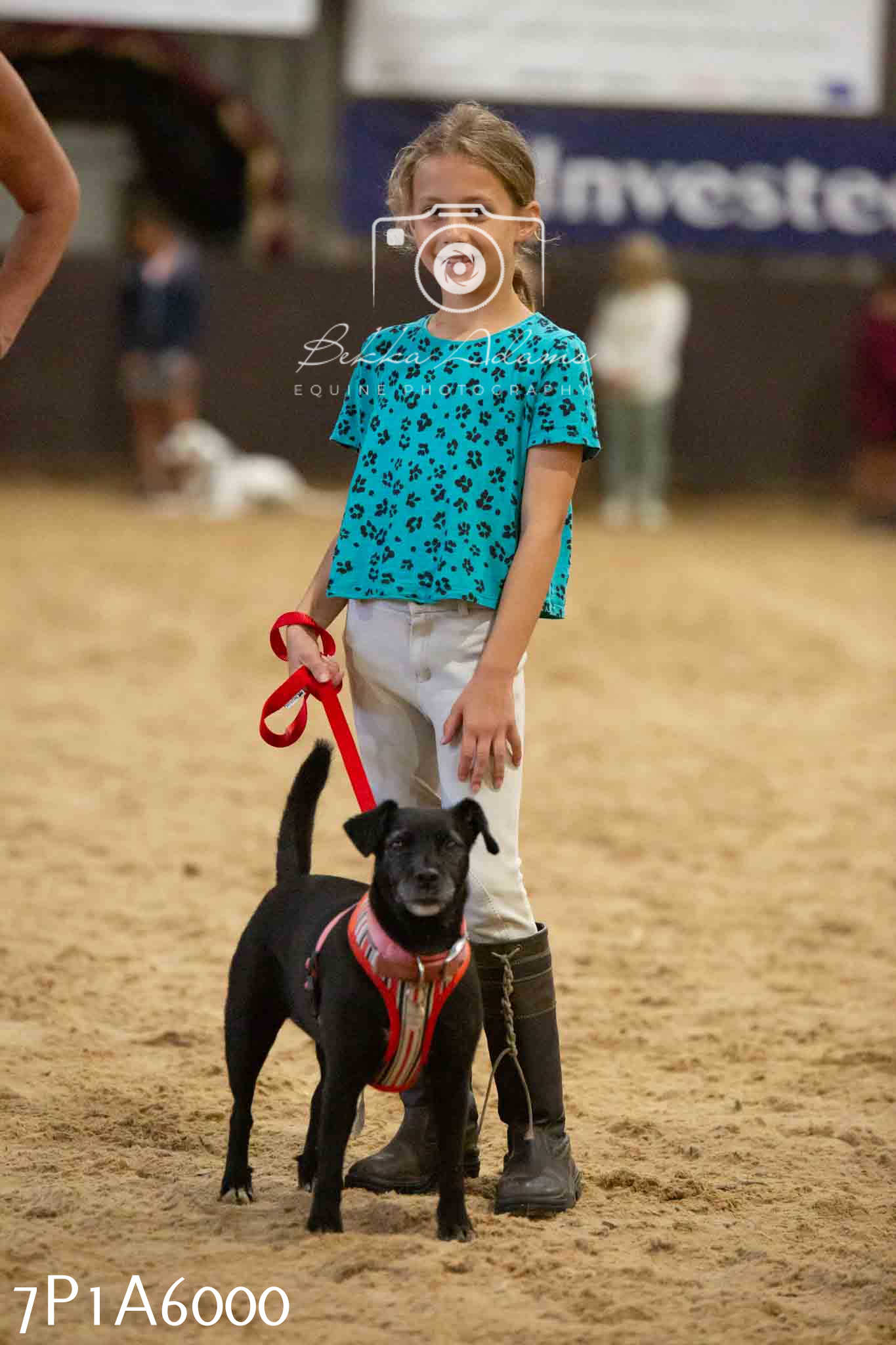 JHOYS 2023 - 11th September - Best Lorry Dog