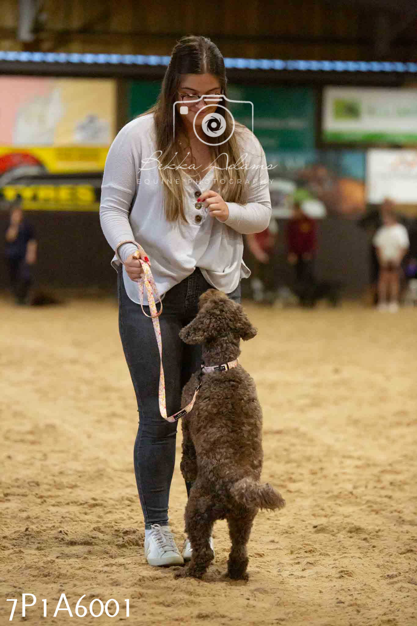 JHOYS 2023 - 11th September - Best Lorry Dog