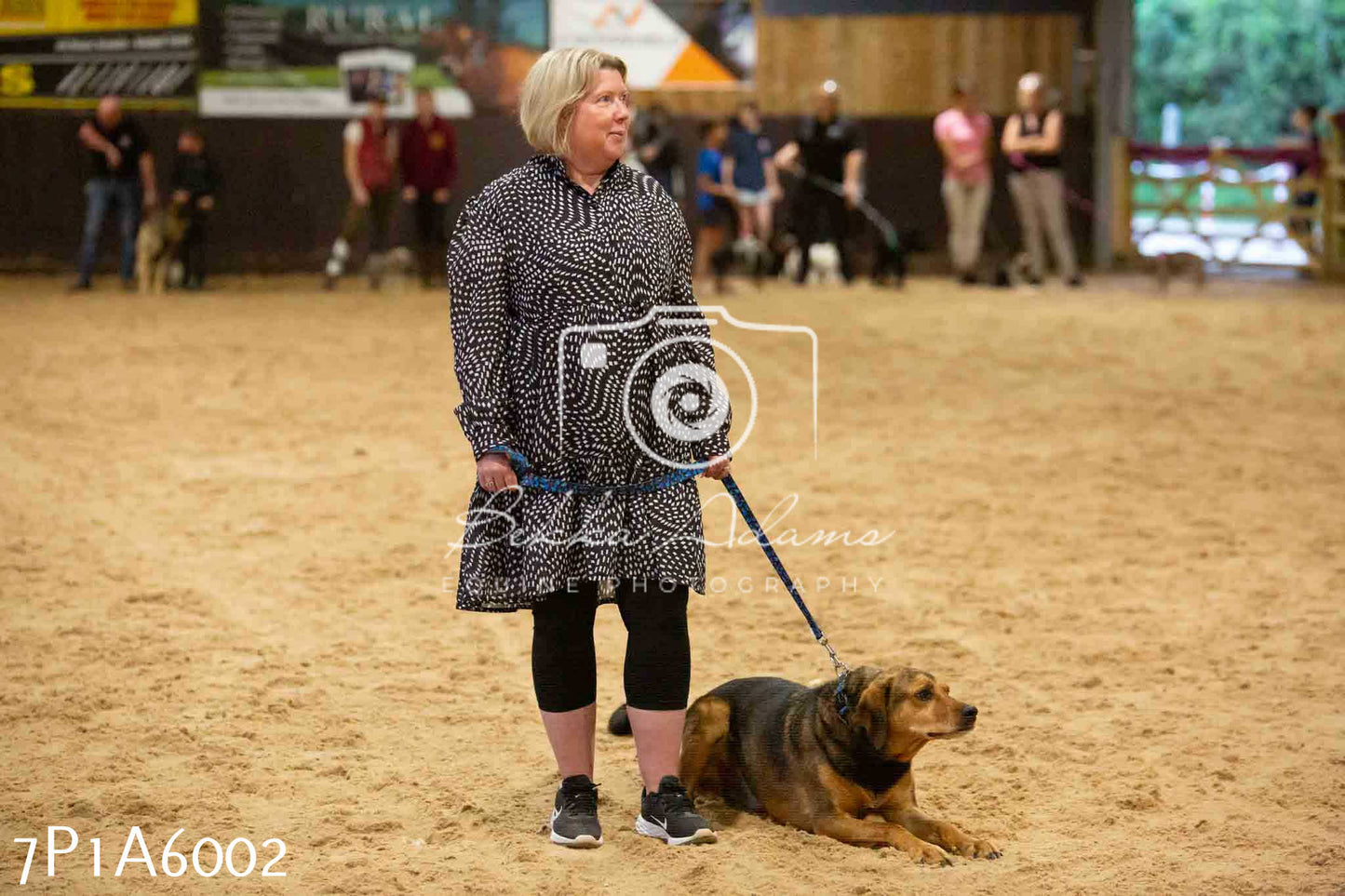 JHOYS 2023 - 11th September - Best Lorry Dog