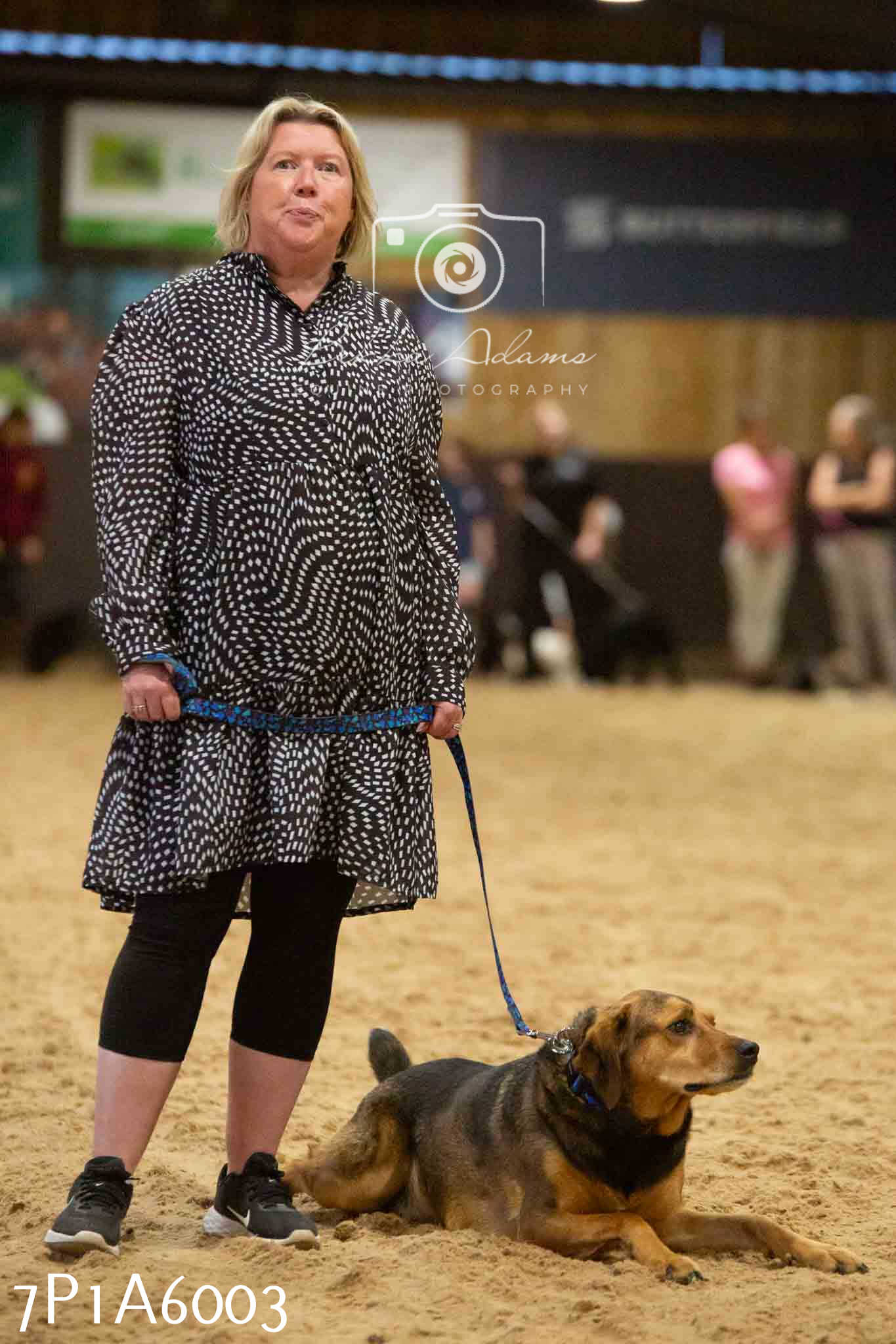 JHOYS 2023 - 11th September - Best Lorry Dog