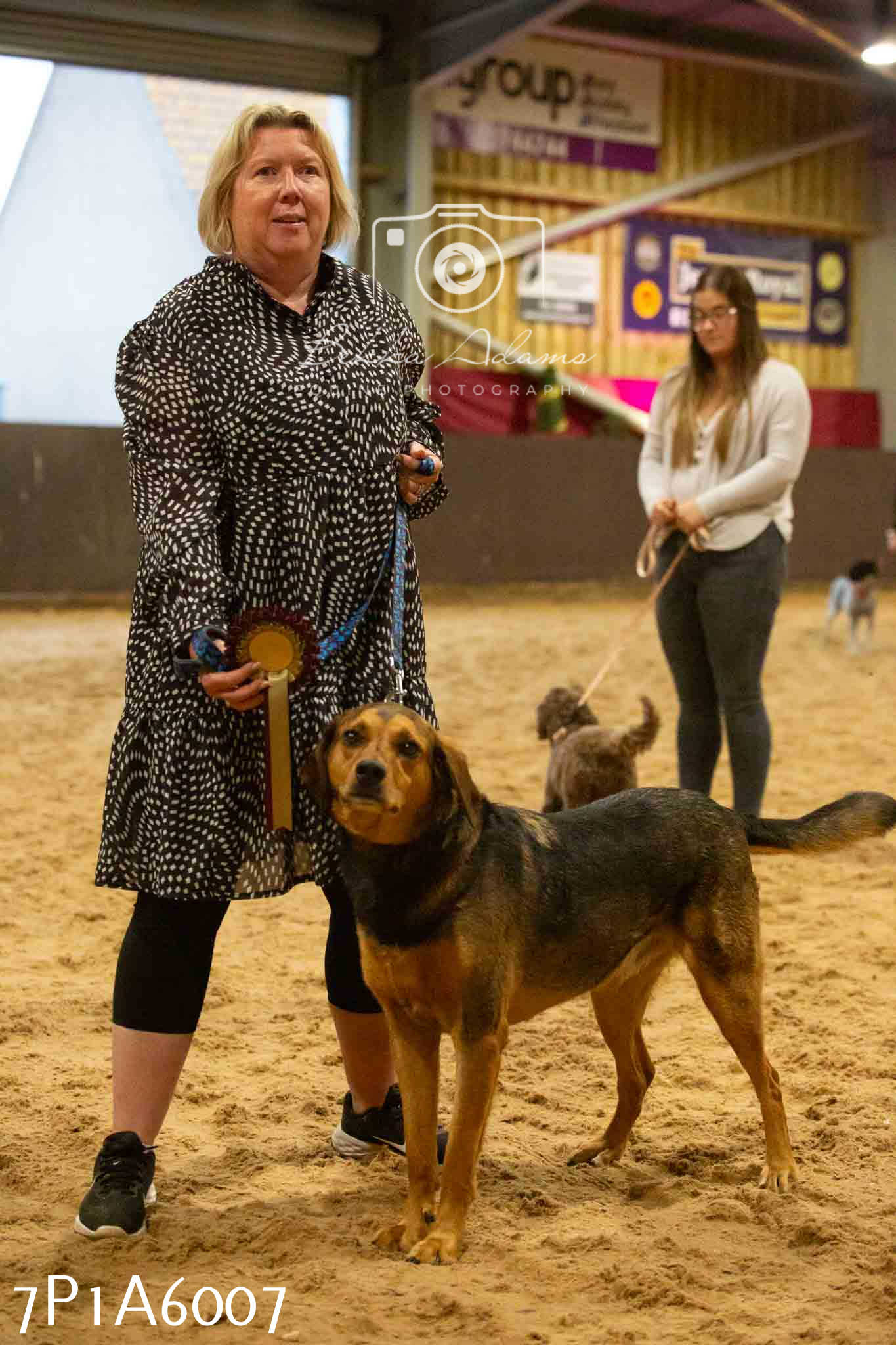 JHOYS 2023 - 11th September - Best Lorry Dog