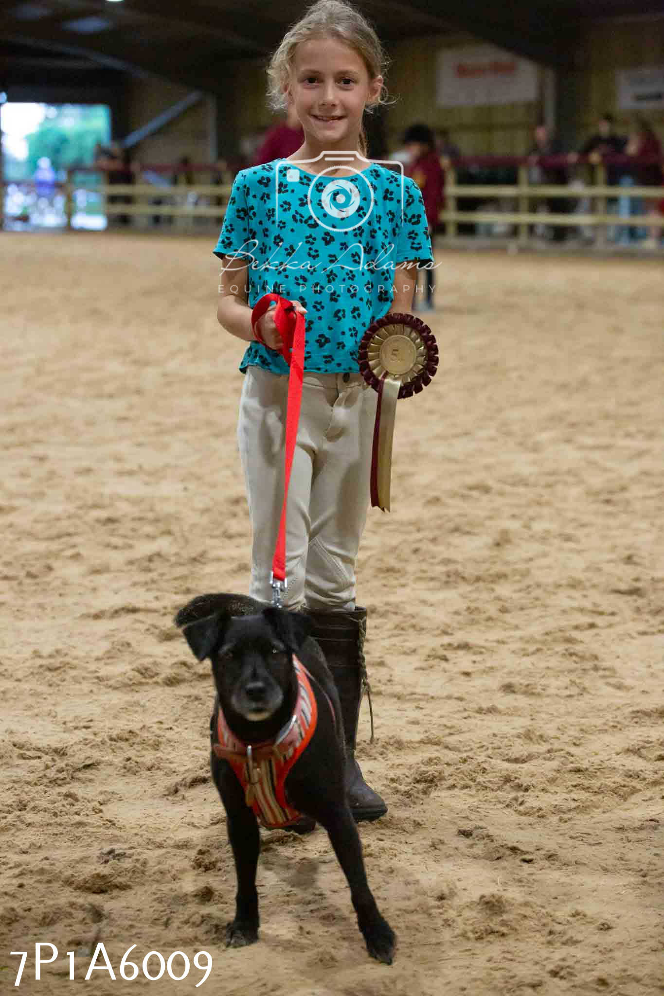JHOYS 2023 - 11th September - Best Lorry Dog