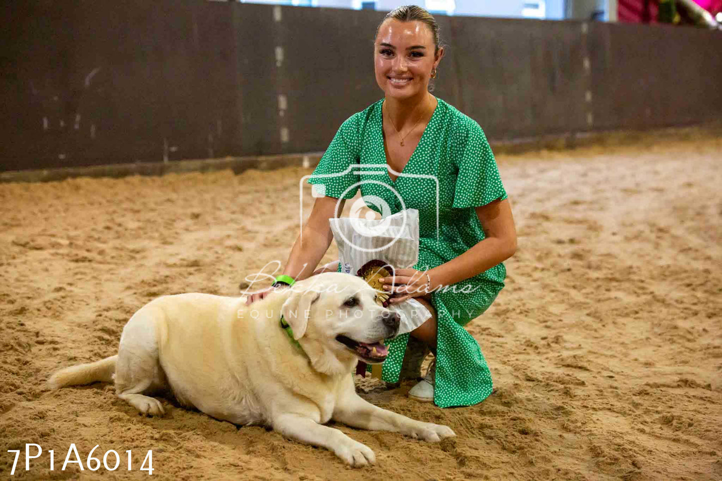 JHOYS 2023 - 11th September - Best Lorry Dog