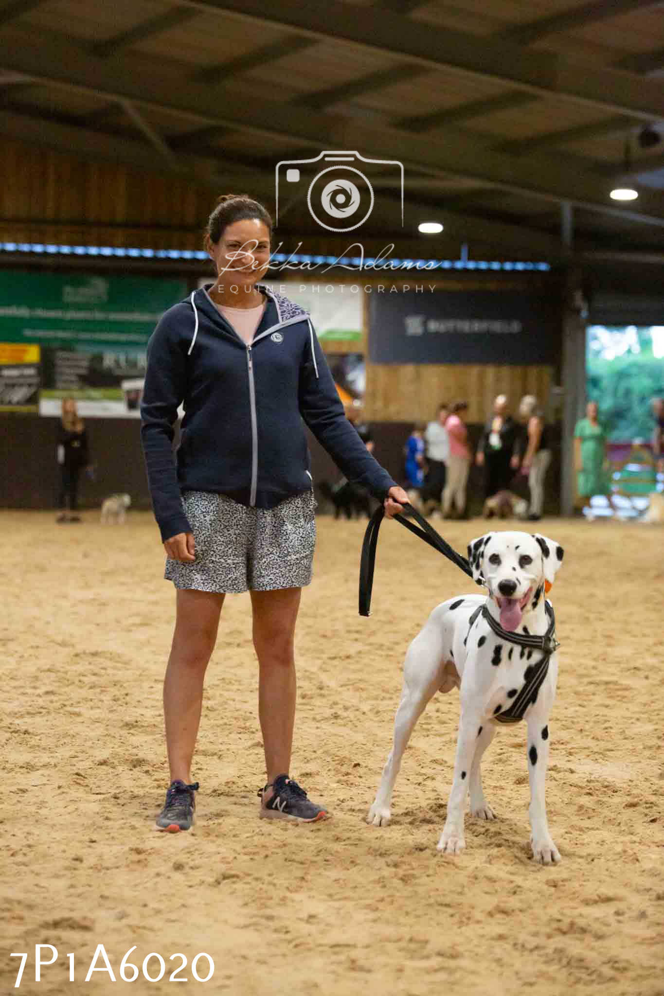JHOYS 2023 - 11th September - Best Lorry Dog
