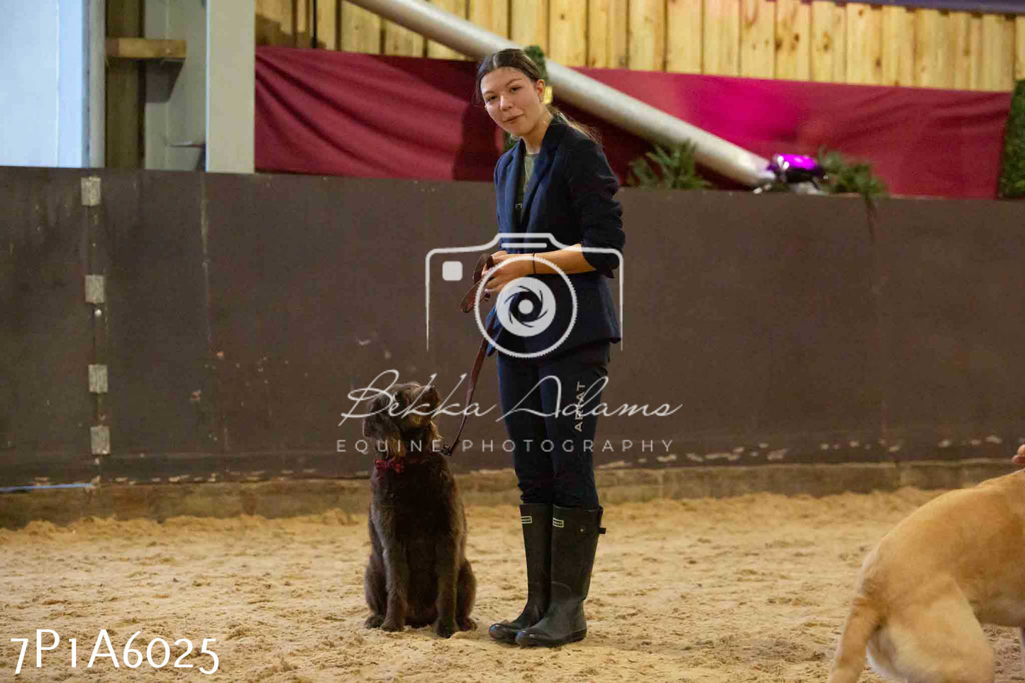 JHOYS 2023 - 11th September - Best Lorry Dog