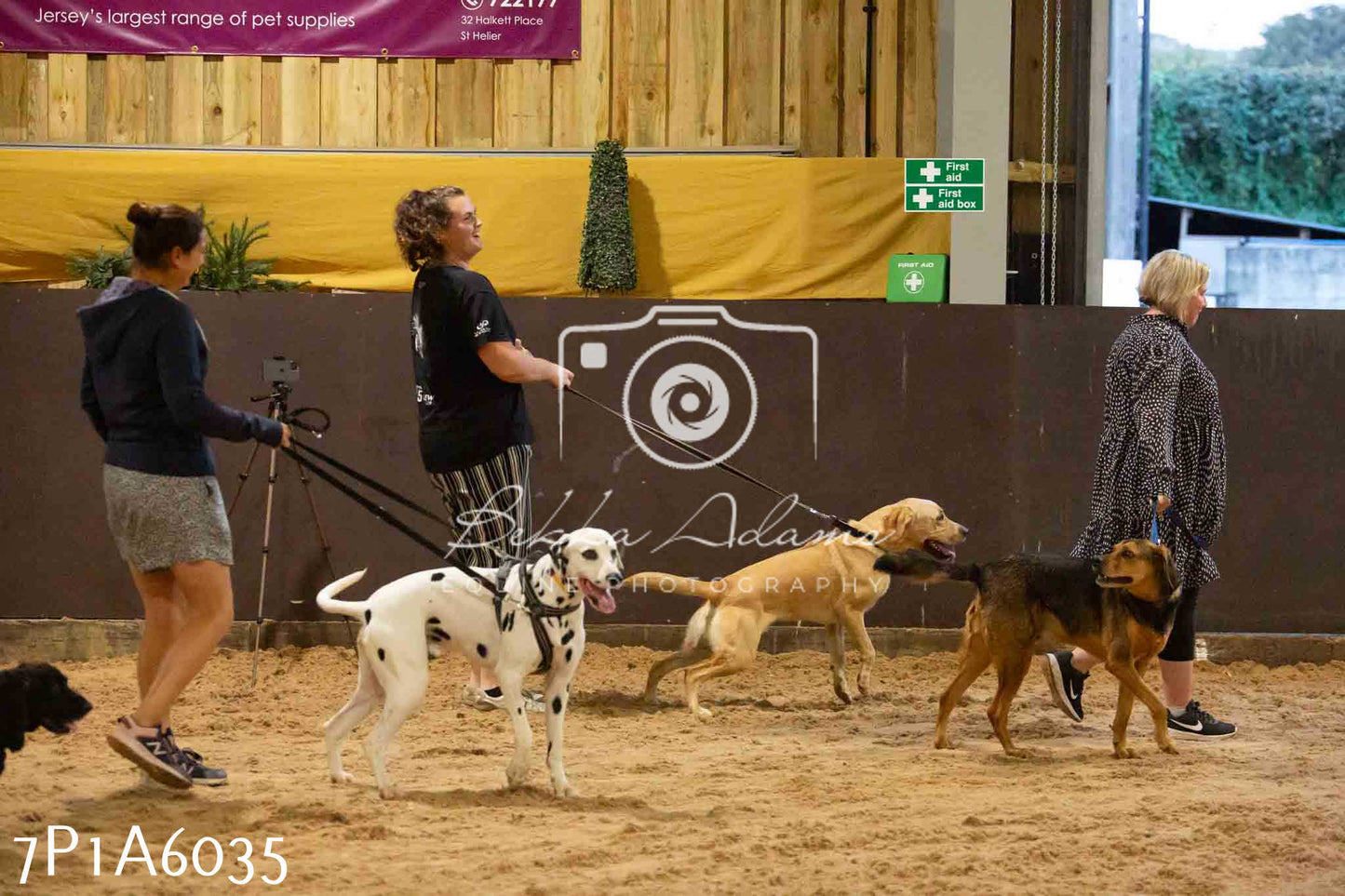 JHOYS 2023 - 11th September - Best Lorry Dog