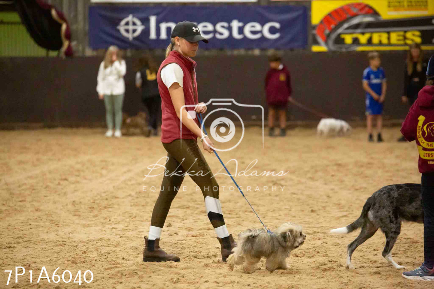 JHOYS 2023 - 11th September - Best Lorry Dog