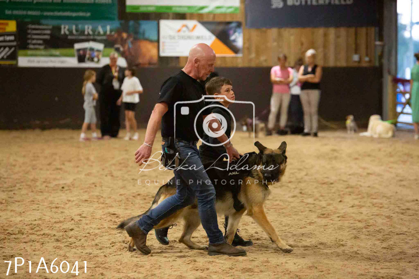 JHOYS 2023 - 11th September - Best Lorry Dog