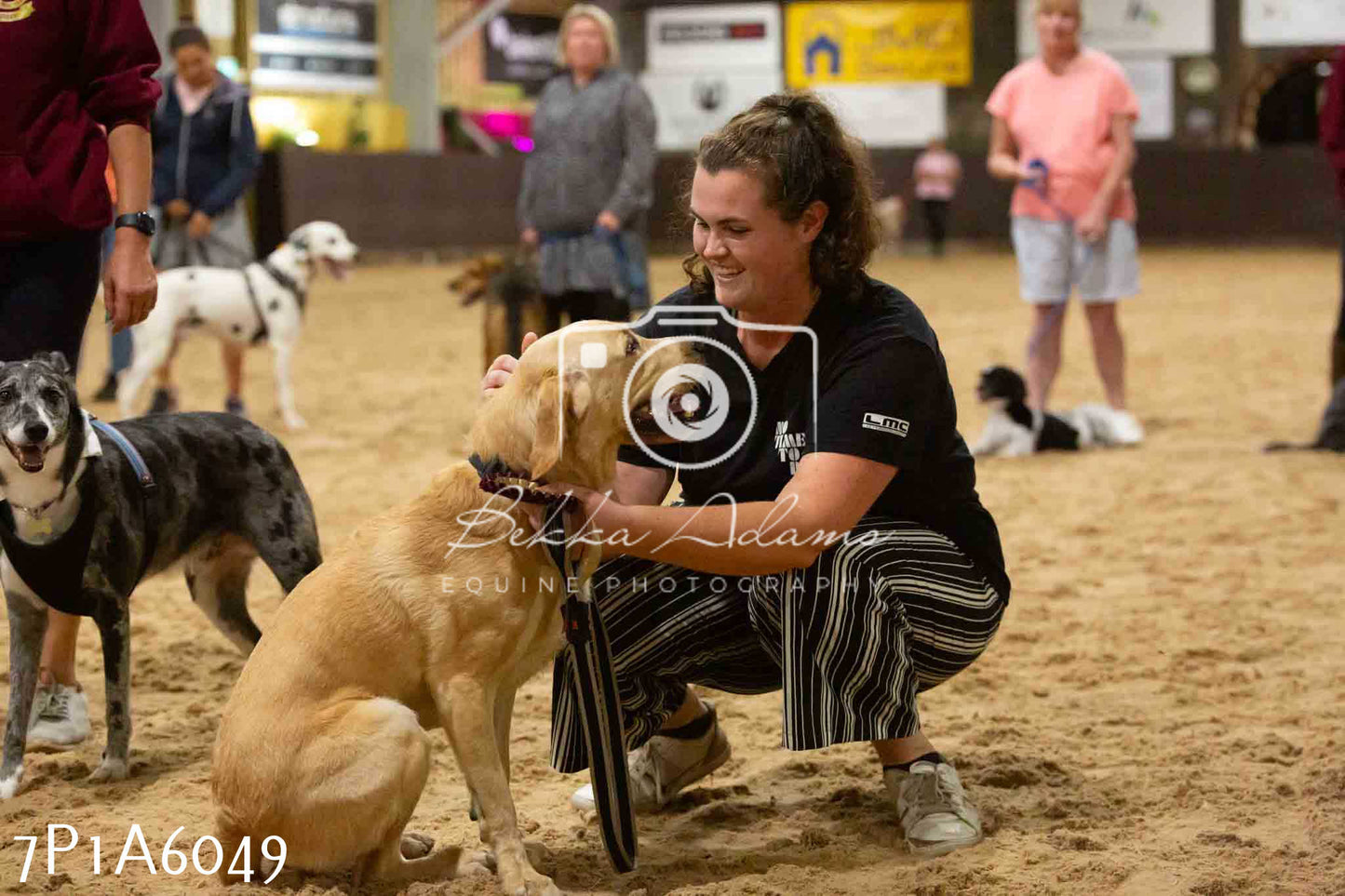 JHOYS 2023 - 11th September - Best Lorry Dog