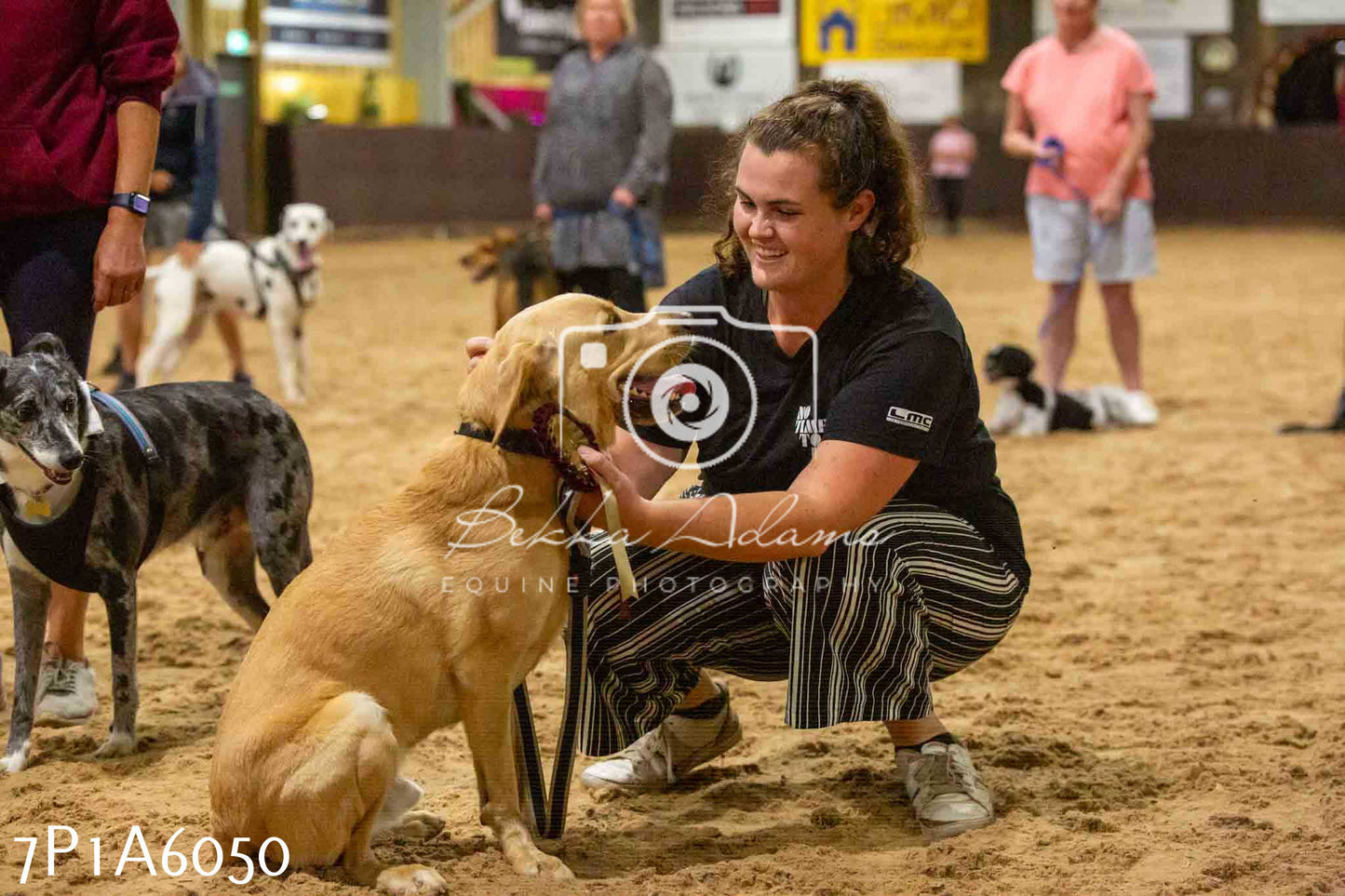 JHOYS 2023 - 11th September - Best Lorry Dog