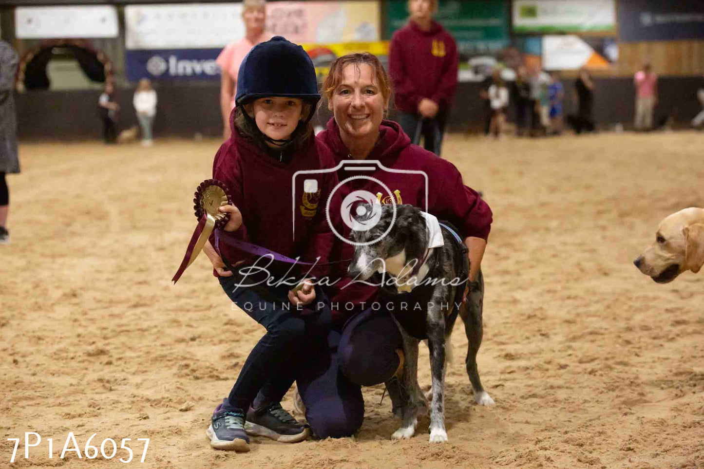 JHOYS 2023 - 11th September - Best Lorry Dog