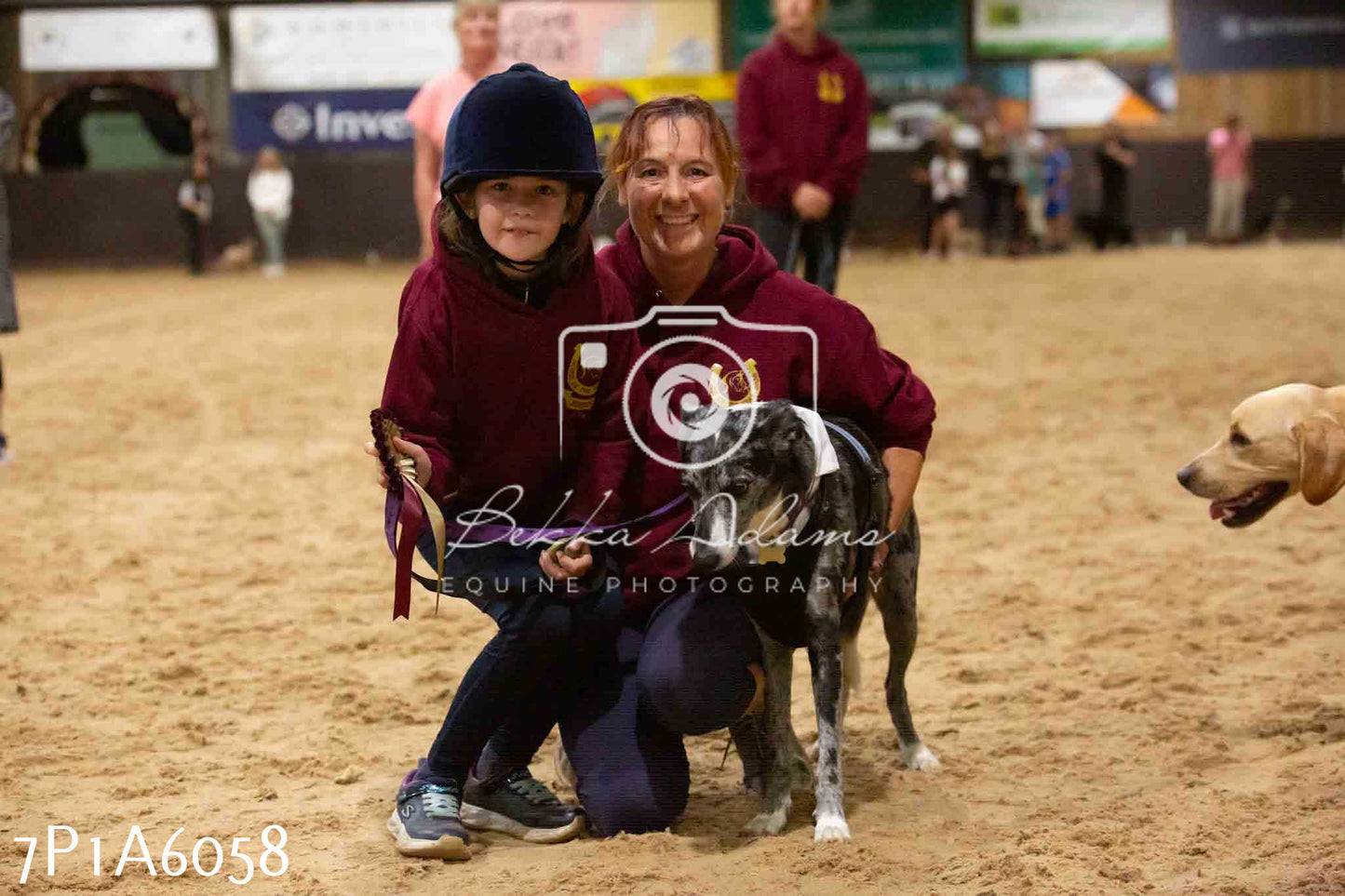 JHOYS 2023 - 11th September - Best Lorry Dog