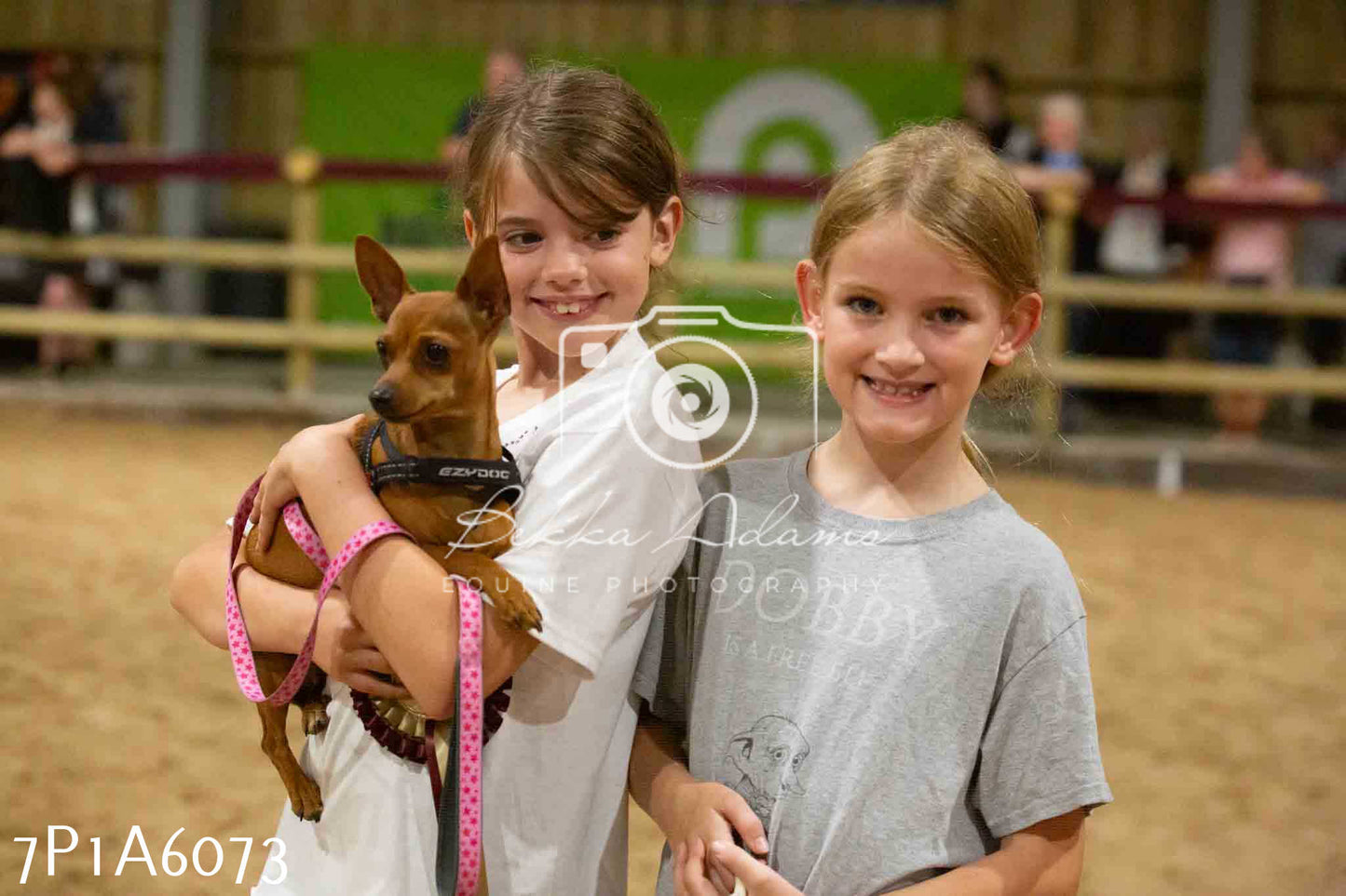 JHOYS 2023 - 11th September - Best Lorry Dog