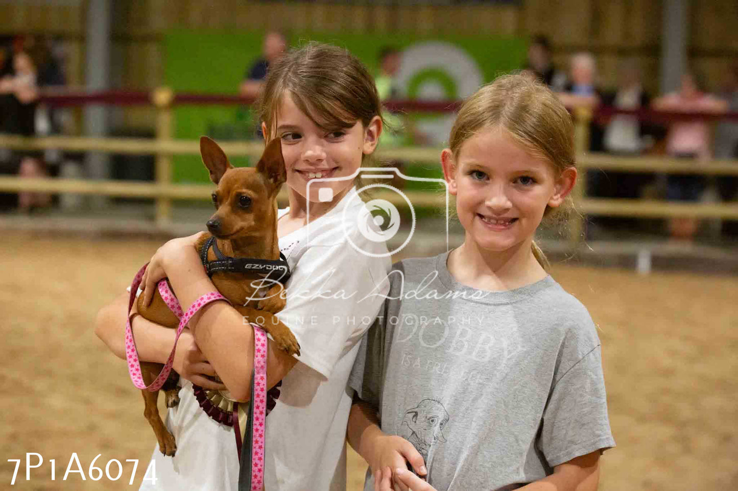JHOYS 2023 - 11th September - Best Lorry Dog