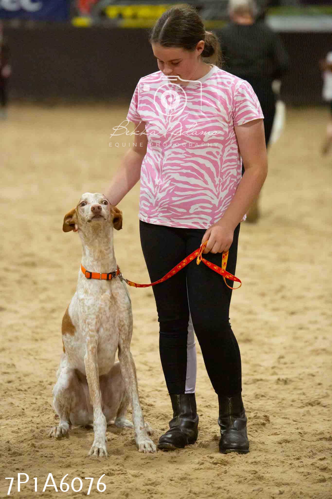 JHOYS 2023 - 11th September - Best Lorry Dog