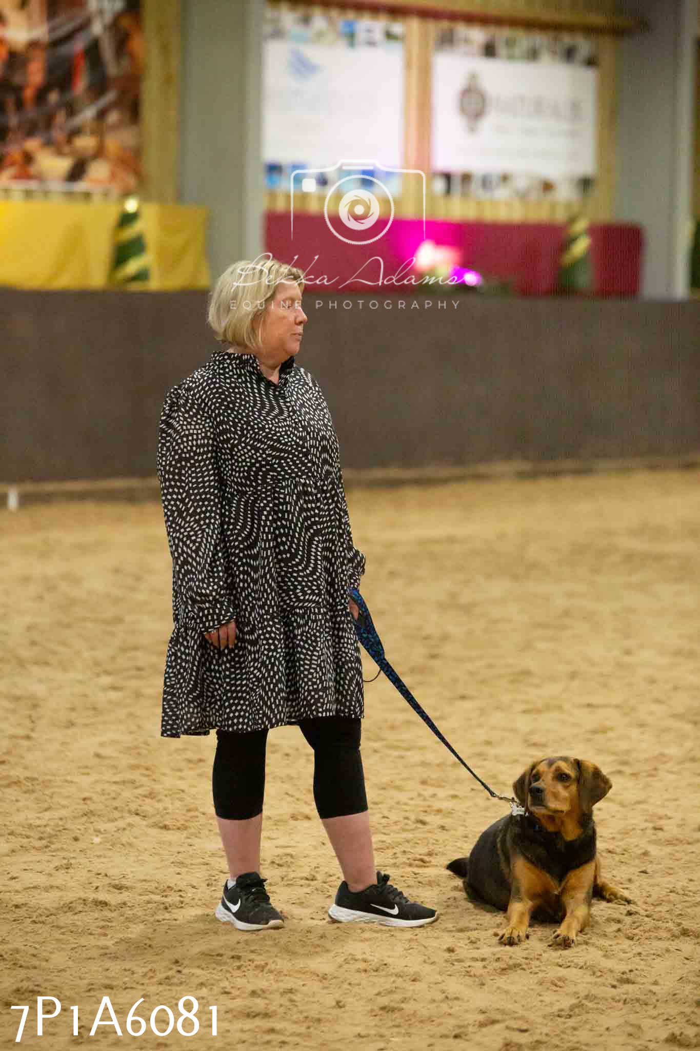 JHOYS 2023 - 11th September - Best Lorry Dog