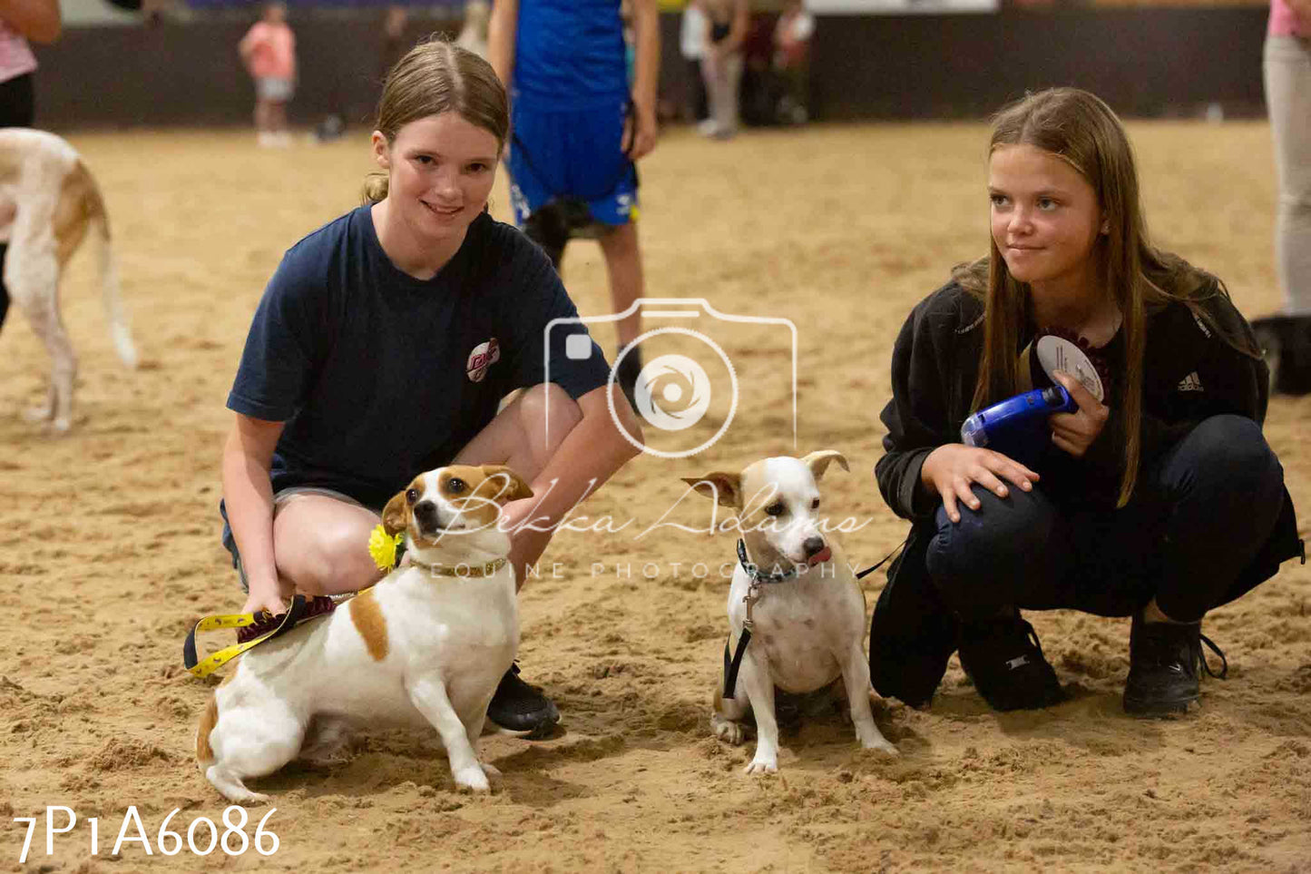 JHOYS 2023 - 11th September - Best Lorry Dog