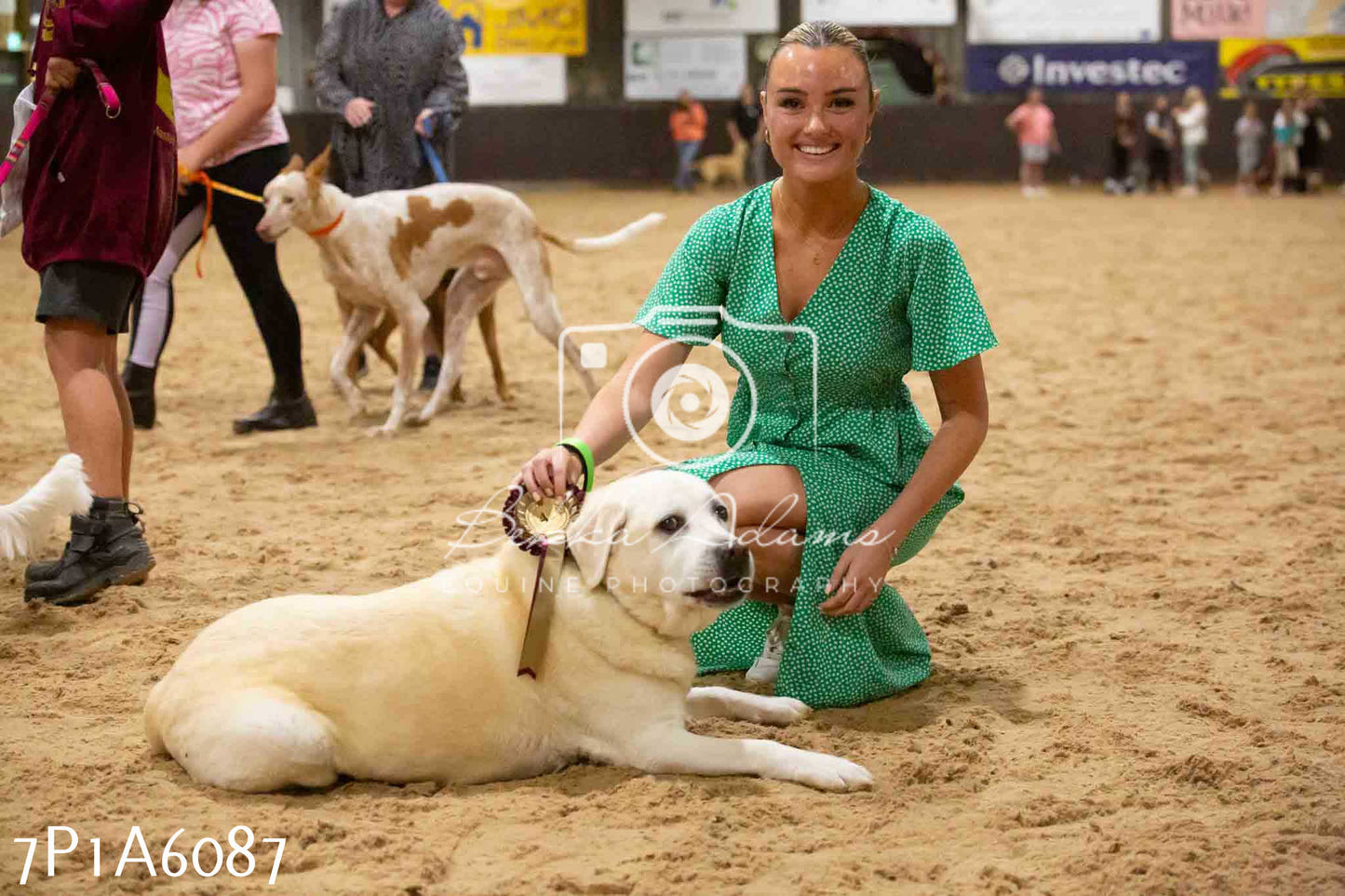JHOYS 2023 - 11th September - Best Lorry Dog