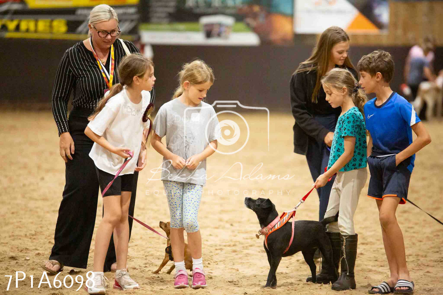 JHOYS 2023 - 11th September - Best Lorry Dog