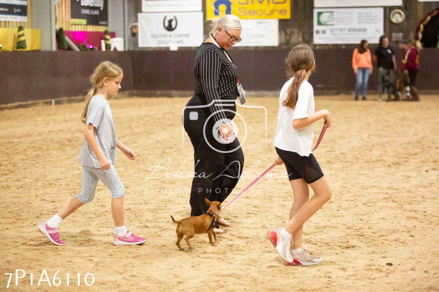 JHOYS 2023 - 11th September - Best Lorry Dog
