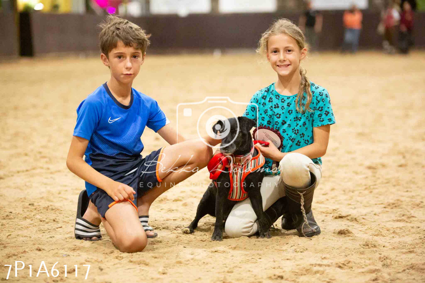 JHOYS 2023 - 11th September - Best Lorry Dog