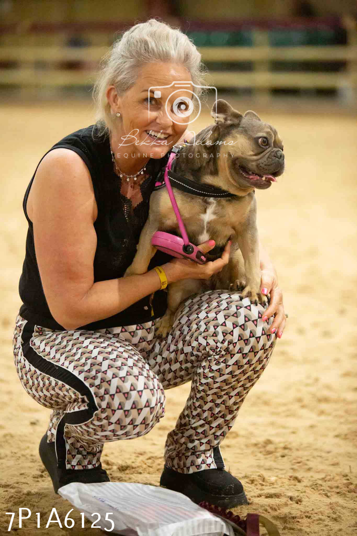JHOYS 2023 - 11th September - Best Lorry Dog