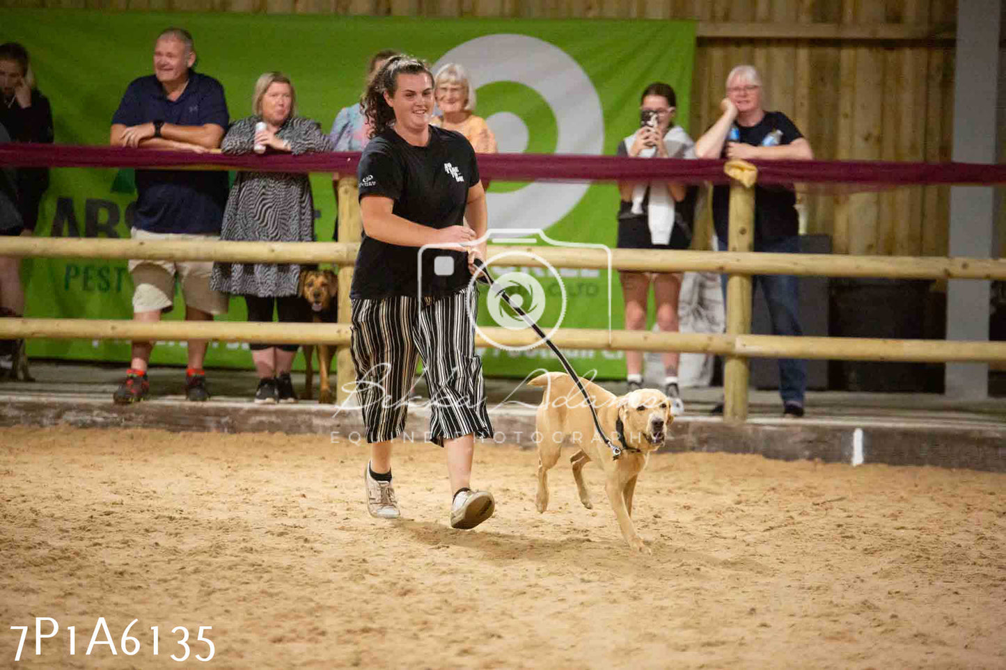 JHOYS 2023 - 11th September - Best Lorry Dog