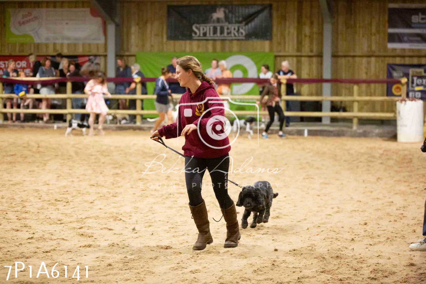 JHOYS 2023 - 11th September - Best Lorry Dog