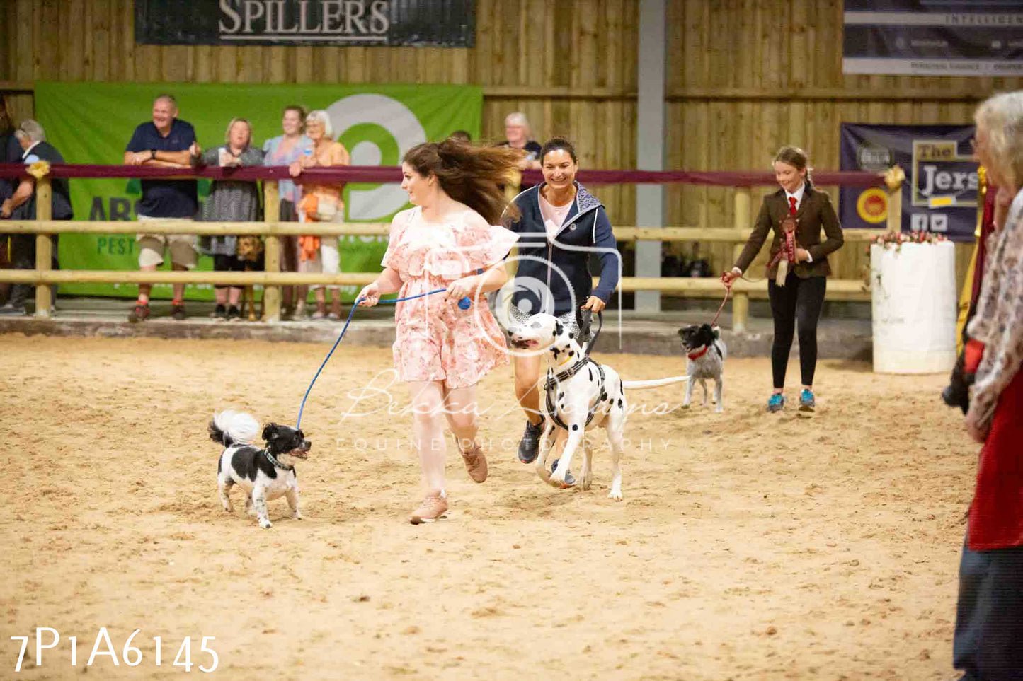 JHOYS 2023 - 11th September - Best Lorry Dog