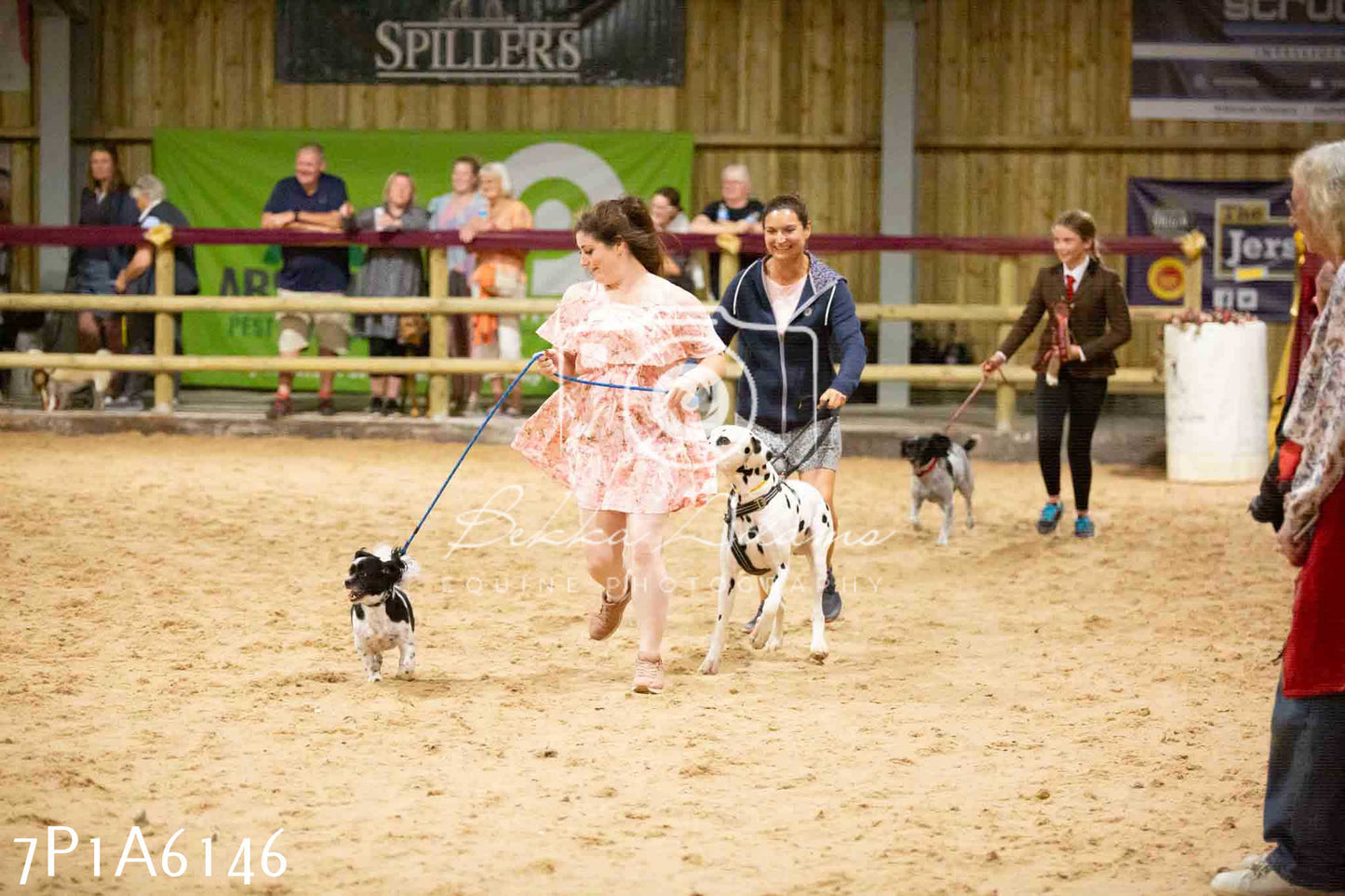 JHOYS 2023 - 11th September - Best Lorry Dog