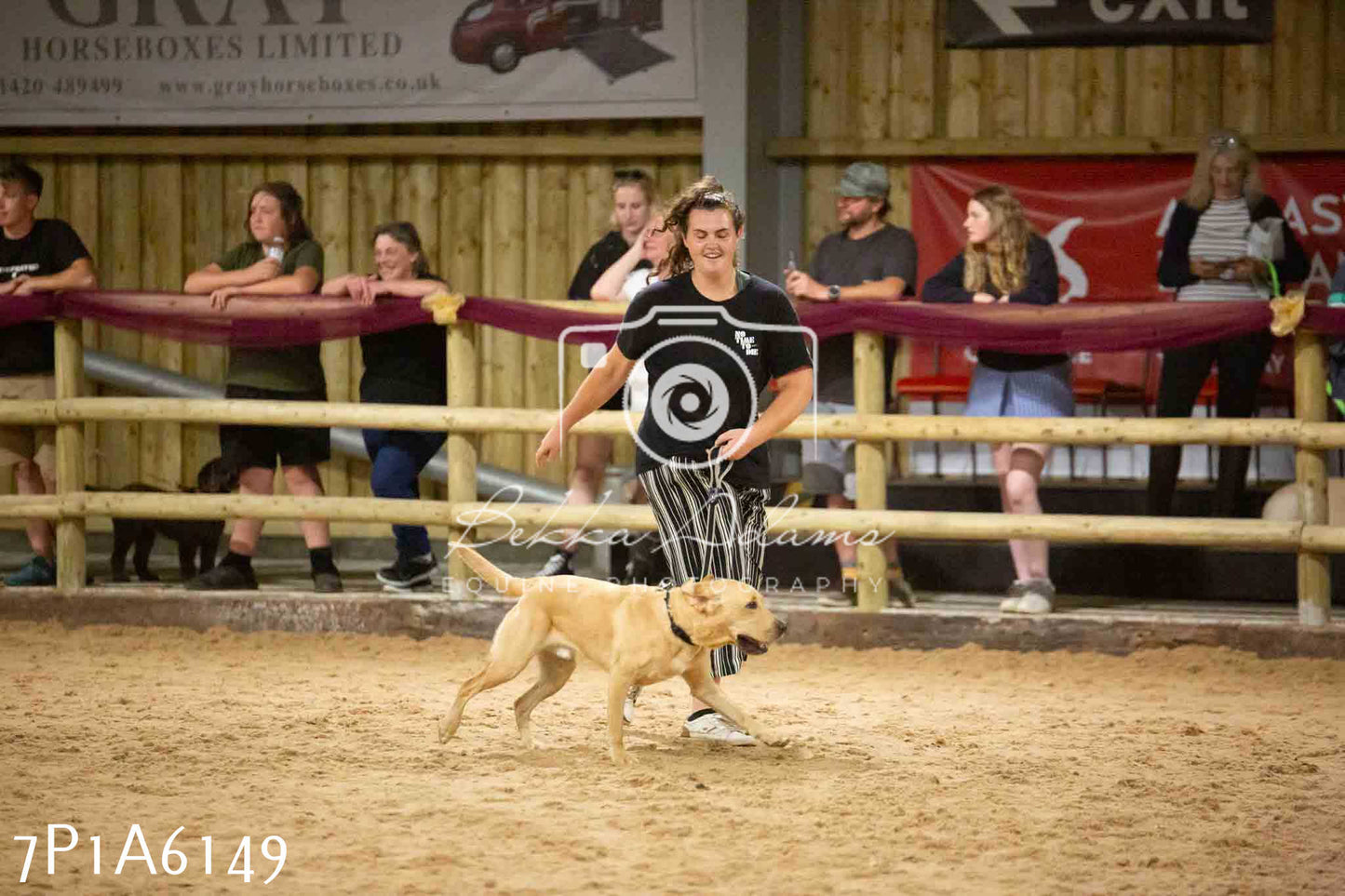 JHOYS 2023 - 11th September - Best Lorry Dog