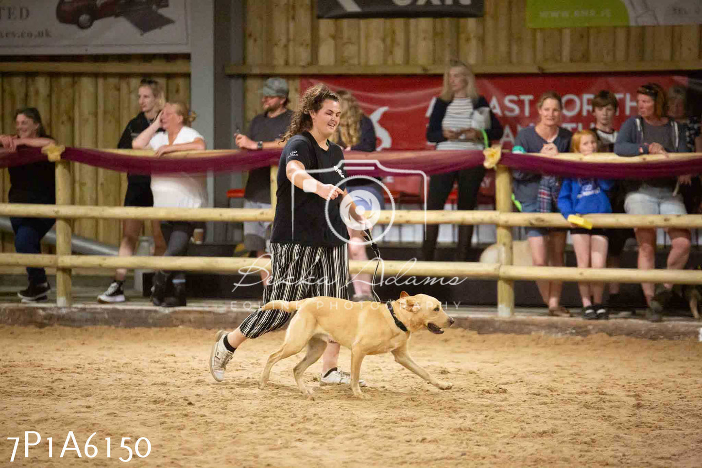 JHOYS 2023 - 11th September - Best Lorry Dog