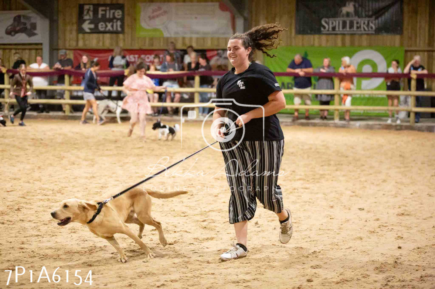 JHOYS 2023 - 11th September - Best Lorry Dog